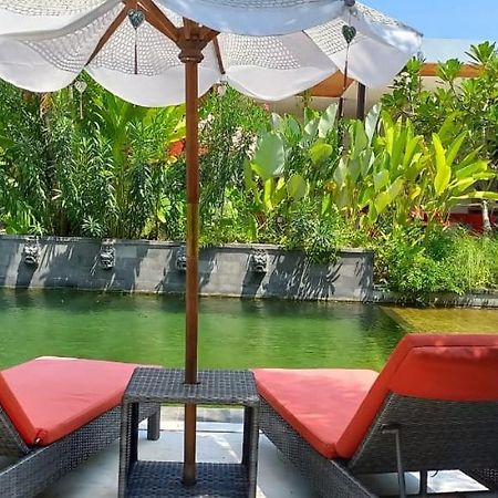 Le Chien Rouge Hotel Lovina  Ngoại thất bức ảnh