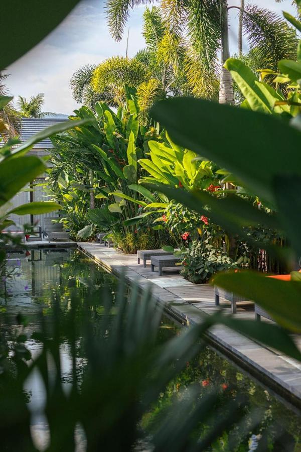Le Chien Rouge Hotel Lovina  Ngoại thất bức ảnh