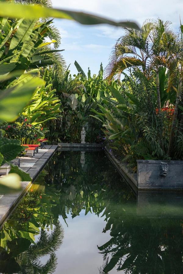 Le Chien Rouge Hotel Lovina  Ngoại thất bức ảnh