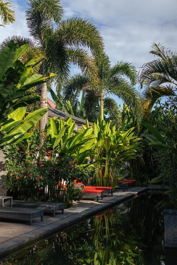 Le Chien Rouge Hotel Lovina  Ngoại thất bức ảnh